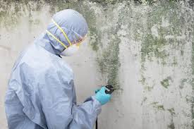 Best Biohazard Mold Removal  in Andrews Af, MD